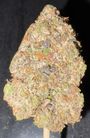 ⛽️🔥Pink Godfather