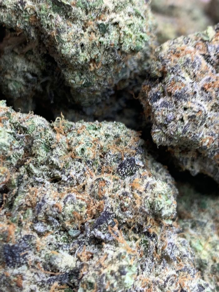 🤯EXOTIC SALE AAAA+🤯
