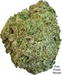 ⛽️⛽️⛽️GAS⛽️⛽️⛽️🥷Pink Power Ranger AAAA SMALLS 👈🥷