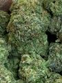 ⛽️⛽️⛽️GAS⛽️⛽️⛽️🥷Pink Power Ranger AAAA SMALLS 👈🥷