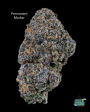 7 GRAMS FOR $25 - AAA GRADE FLOWER - ALL STRAINS IN DESCRIPTION!! 