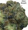 👽😮‍💨😏☄️🛸🚨Alien Breath EXOTC AAAA++🚨 👽😮‍💨😏🛸☄️