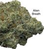 👽😮‍💨😏☄️🛸🚨Alien Breath EXOTC AAAA++🚨 👽😮‍💨😏🛸☄️