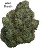 👽😮‍💨😏☄️🛸🚨Alien Breath EXOTC AAAA++🚨 👽😮‍💨😏🛸☄️