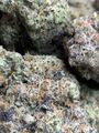 👽😮‍💨😏☄️🛸🚨Alien Breath EXOTC AAAA++🚨 👽😮‍💨😏🛸☄️