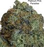 ⛽️⛽️⛽️GAS⛽️⛽️⛽️🚨😶‍🌫️🫠 Platinum Pink Paradise AAAA++🚨😶‍🌫️🫠