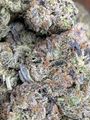 ⛽️⛽️⛽️GAS⛽️⛽️⛽️🚨😶‍🌫️🫠 Platinum Pink Paradise AAAA++🚨😶‍🌫️🫠
