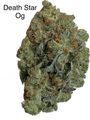 ⛽️⛽️⛽️GAS⛽️⛽️⛽️-☠️☄️😶‍🌫️ 🚨Death Star Og AAAA++ 🚨☠️☄️😶‍🌫️