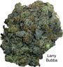 ⛽️⛽️⛽️GAS⛽️⛽️⛽️🚨😶‍🌫️😏Larry Bubba AAAA++🚨😶‍🌫️😏🙃