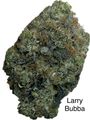 ⛽️⛽️⛽️GAS⛽️⛽️⛽️🚨😶‍🌫️😏Larry Bubba AAAA++🚨😶‍🌫️😏🙃