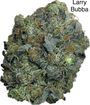⛽️⛽️⛽️GAS⛽️⛽️⛽️🚨😶‍🌫️😏Larry Bubba AAAA++🚨😶‍🌫️😏🙃