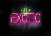 store-logo
