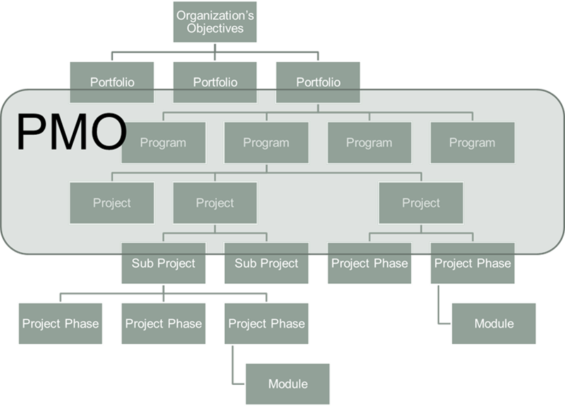 Project Program Portfolio