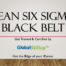 Lean Six sigma Black Belt