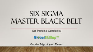 Six sigma Master Black Belt