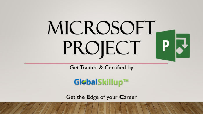 MS Project Training