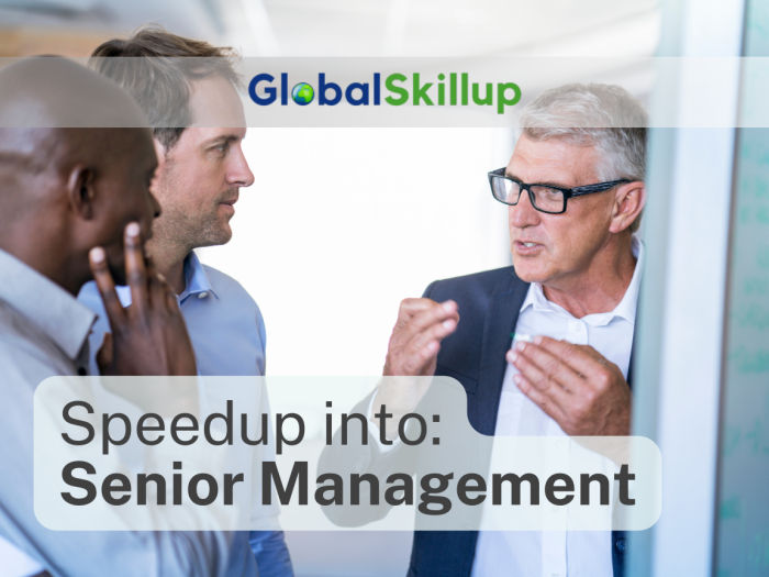 Senior Management Roles