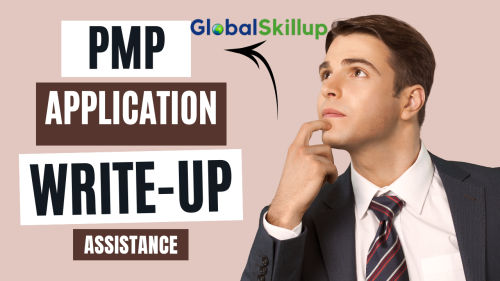 PMP Application Writeup Assistance