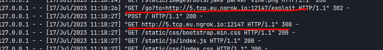 Werkzeug Logs