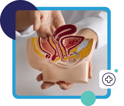 Bedah Ortopedi dan Traumatologi