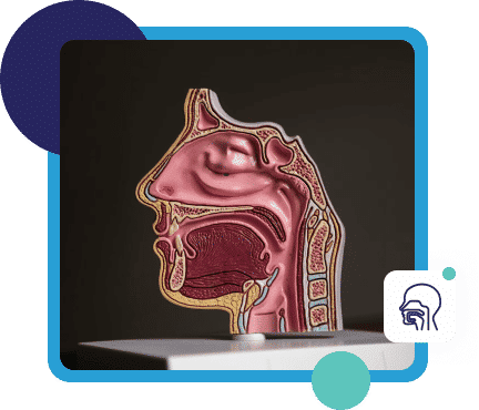 Bedah Ortopedi dan Traumatologi