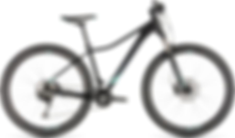 CUBE ACCESS WS SL 2019
