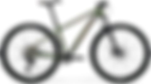 Merida BIG.NINE XT-EDITION 2020
