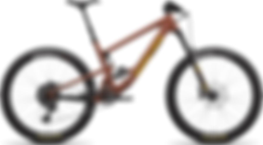 Santa Cruz Bronson R Plus / Carbon C / 27.5 2020