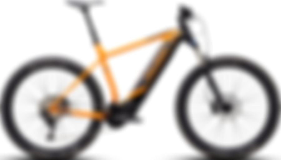 Polygon ENTIAT-E 2020