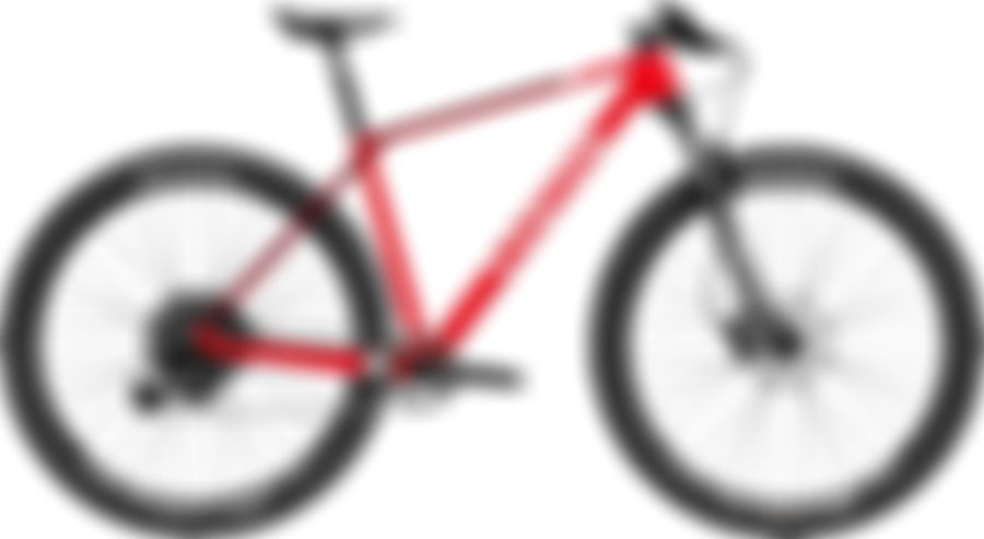 Canyon Exceed CF 7 — US 2021