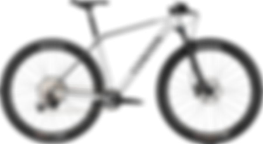 Canyon Exceed CF 8 2022