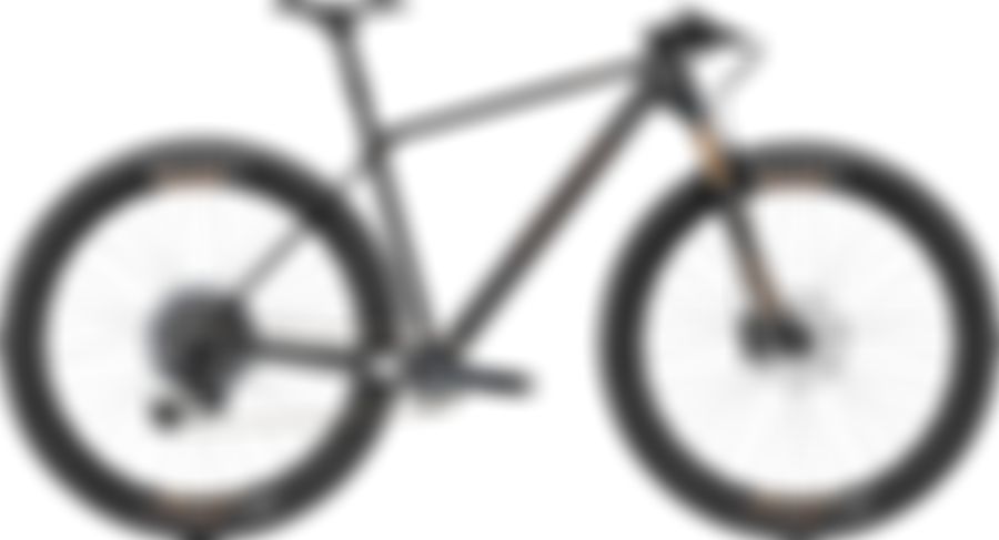 Canyon Exceed CF SLX 9 2022