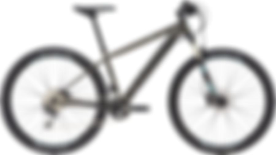 Cannondale F-Si Women's 2 2017