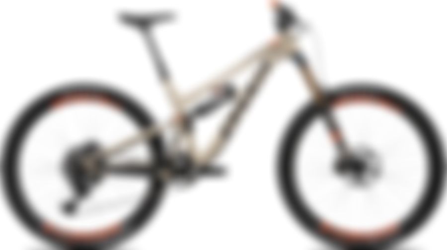 Pivot Firebird 29 Race XT 2019