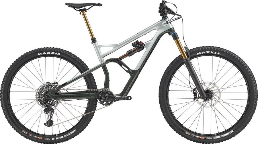 Cannondale Jekyll 29 -1- 2019