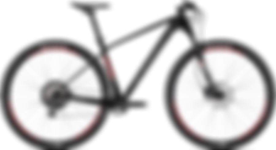 Ghost LECTOR 2.9 LC U 2020