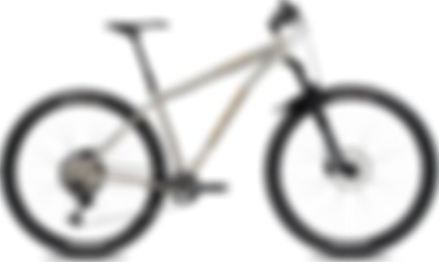 Lynskey Live Wire SRAM GX Eagle 1x12 2021