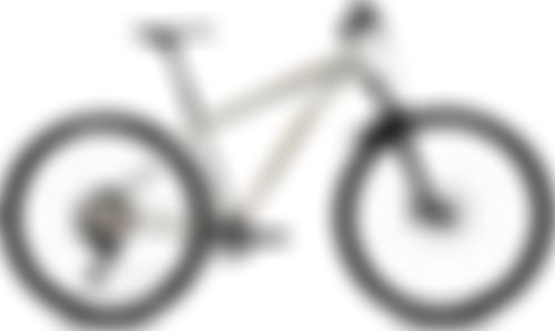 Lynskey Live Wire SRAM XX1 Eagle 1x12 2021