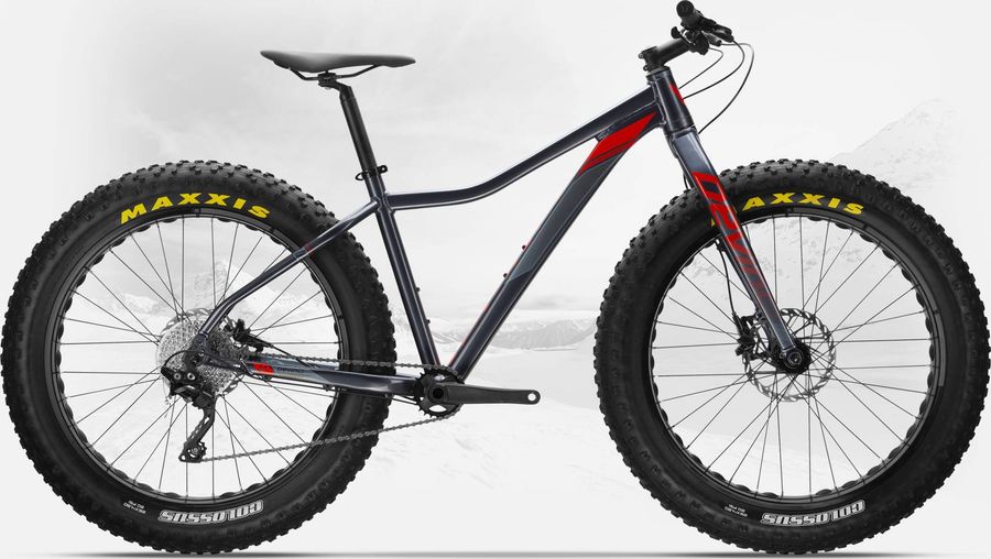 Devinci Minus XT 2019