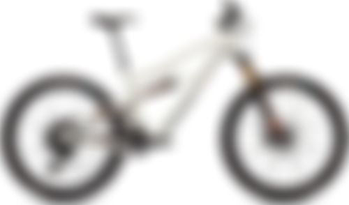 Ibis Mojo NGX 2021