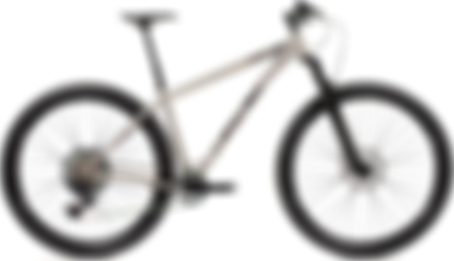 Lynskey PRO 29 SRAM XX1 Eagle 1x12 2021