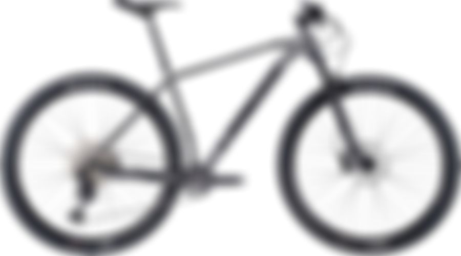 Lapierre Prorace 5.9 2021