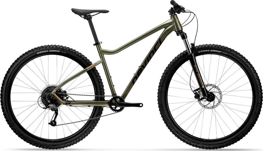 Devinci Riff Altus 9S 2021
