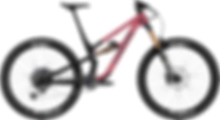 Canyon Spectral 29 CF 9 — US 2021
