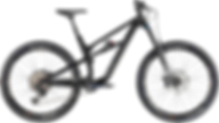 Canyon Spectral AL 6.0 2020