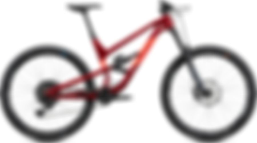 Radon SWOOP 9.0 2020