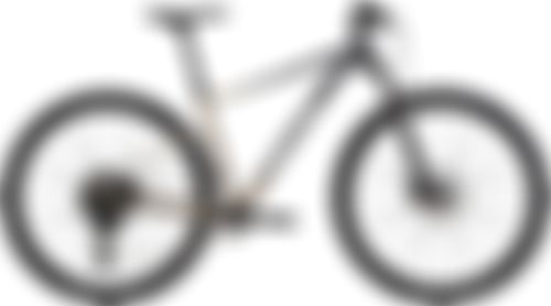 Cannondale Trail SL 1 2022