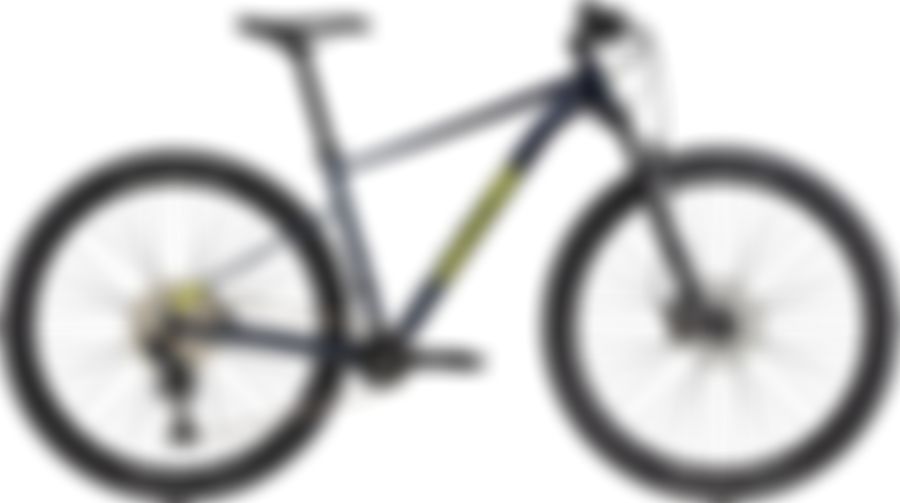 Cannondale Trail SL 2 2021