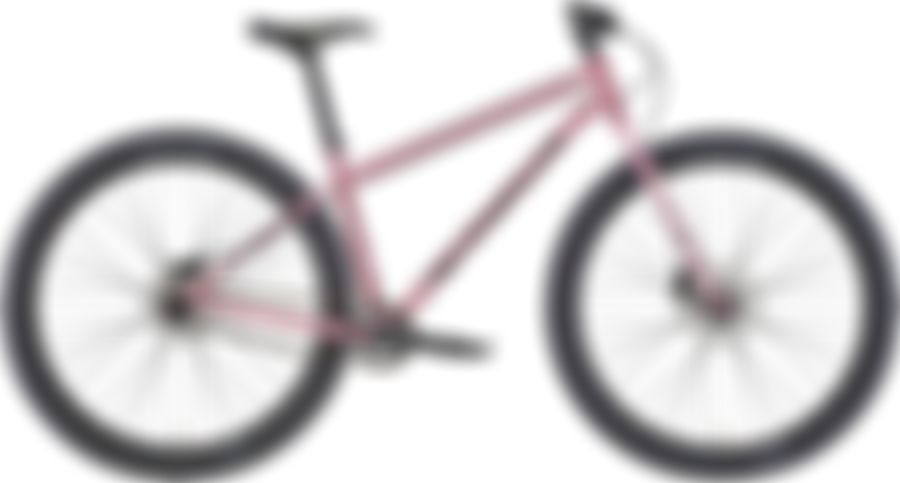 Kona Unit 2022
